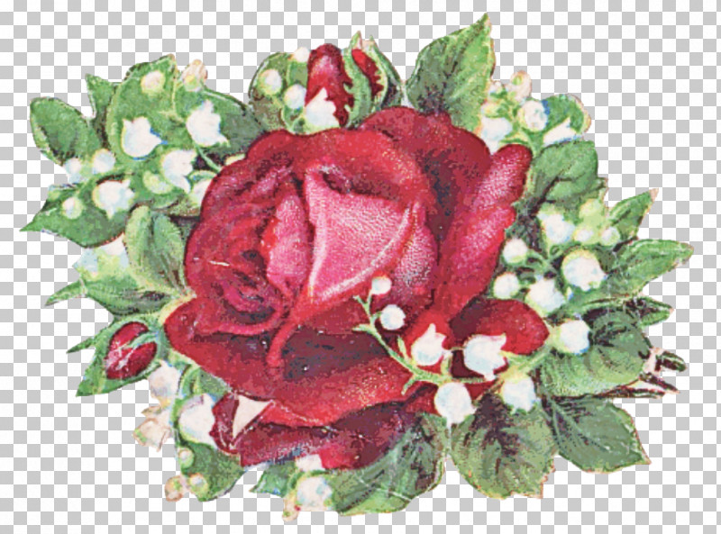 Garden Roses PNG, Clipart, Artificial Flower, Bouquet, Cut Flowers, Floral Design, Floribunda Free PNG Download