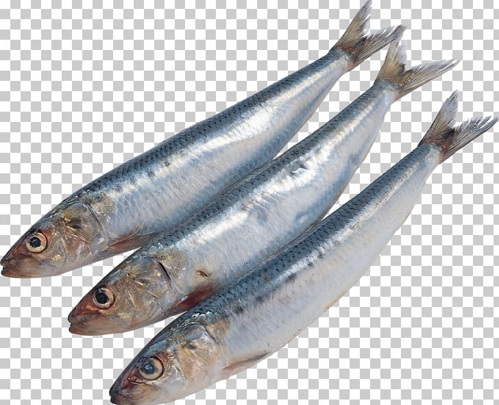 Sardine Pacific Saury Fish Kipper Soused Herring PNG, Clipart, Anchovies As Food, Anchovy, Anchovy Food, Animals, Animal Source Foods Free PNG Download