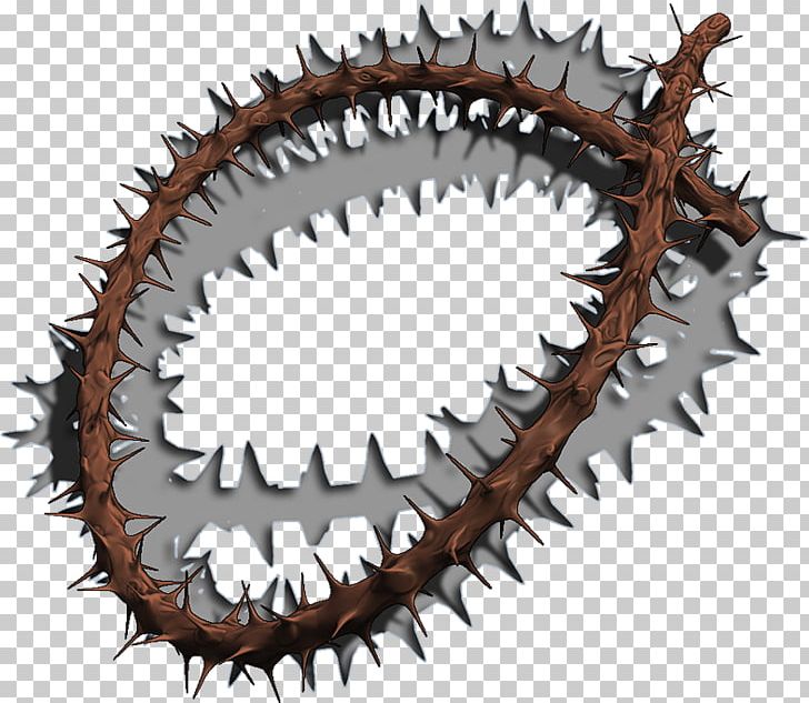 Crown Of Thorns Thorns PNG, Clipart, 3d Computer Graphics, 3d Modeling, Bitcoin, Blender, Com Free PNG Download