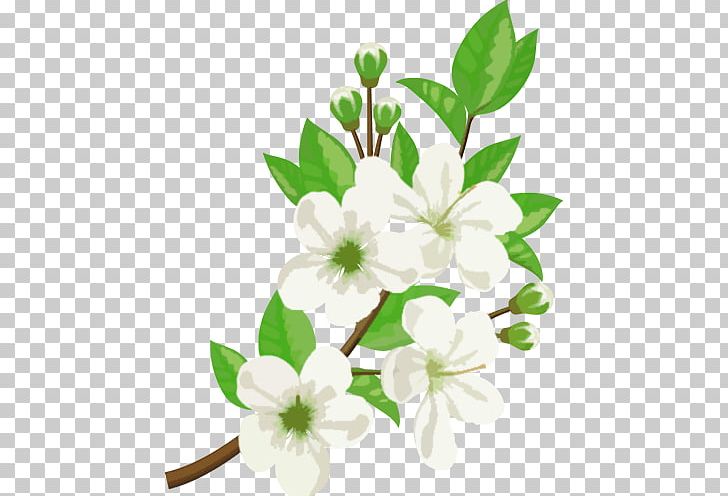 Flower Jasmine Stock Photography Illustration PNG, Clipart, Branch, Branches, Encapsulated Postscript, Floral Design, Flori Free PNG Download