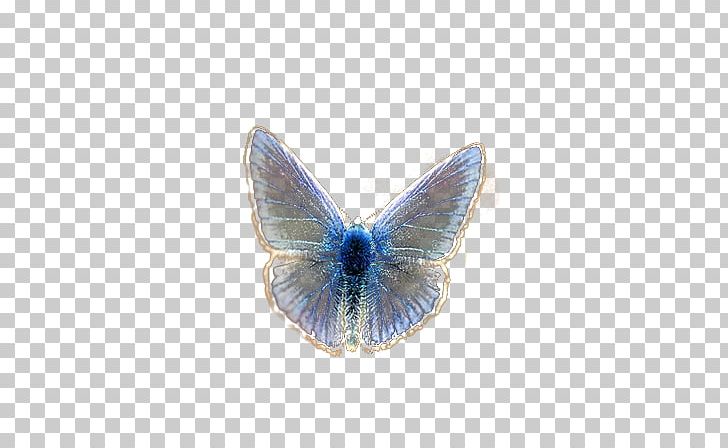 Butterfly Desktop PNG, Clipart, Animal, Blue, Butterflies, Butterfly Group, Cartoon Free PNG Download