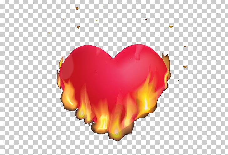 Heart Combustion Flame PNG, Clipart, Broken Heart, Burn, Candle, Combustion, Computer Wallpaper Free PNG Download