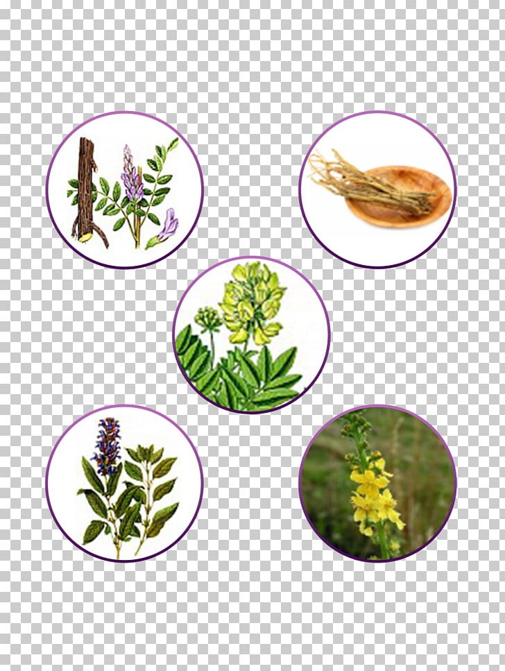 Medicinal Plants Cancer Therapy Dose PNG, Clipart, Cancer, Capsule, Dose, Homo Sapiens, Mass Free PNG Download
