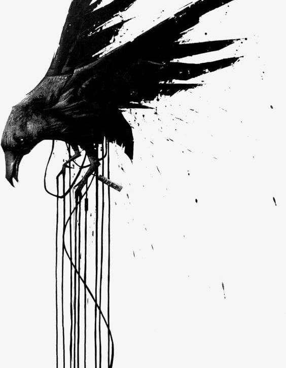 Crow PNG, Clipart, Animal, Birds, Black, Black Crow, Crow Free PNG Download