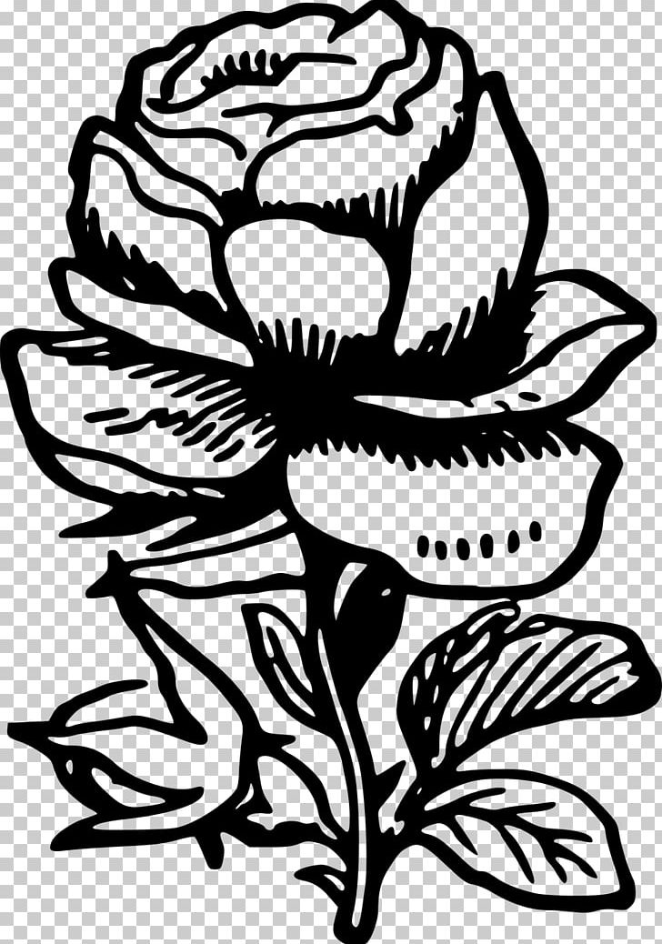 Floral Design Drawing Rose PNG, Clipart, Artwork, Black And White, Black And White Roses, Drawing, Flora Free PNG Download