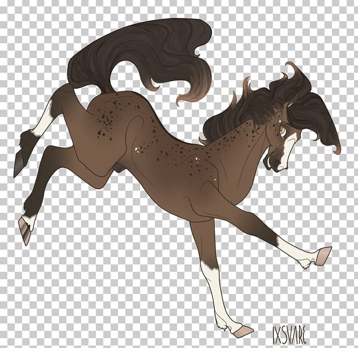 Mustang Foal Stallion Colt Rein PNG, Clipart,  Free PNG Download