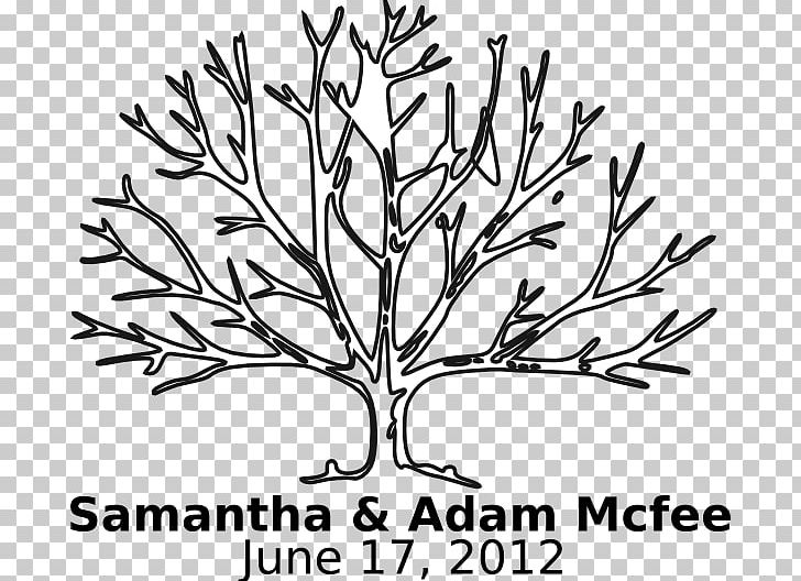 Coloring Book Tree Child PNG, Clipart, Adult, Artwork, Black And White, Branch, Child Free PNG Download