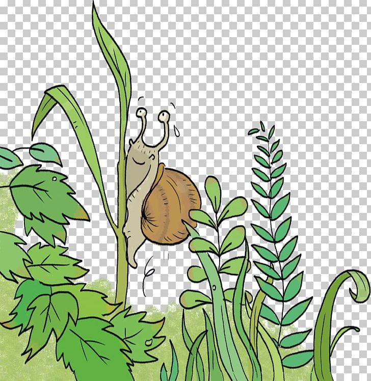 Illustration Snail Insect Leaf PNG, Clipart, Artwork, Branch, Carnivoran, Carnivores, Cartoon Free PNG Download