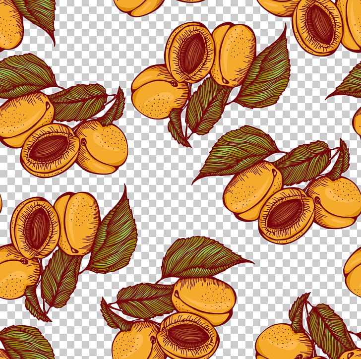 Peach Euclidean Illustration PNG, Clipart, Apricot, Apricot Flower, Apricots, Apricots Vector, Commodity Free PNG Download
