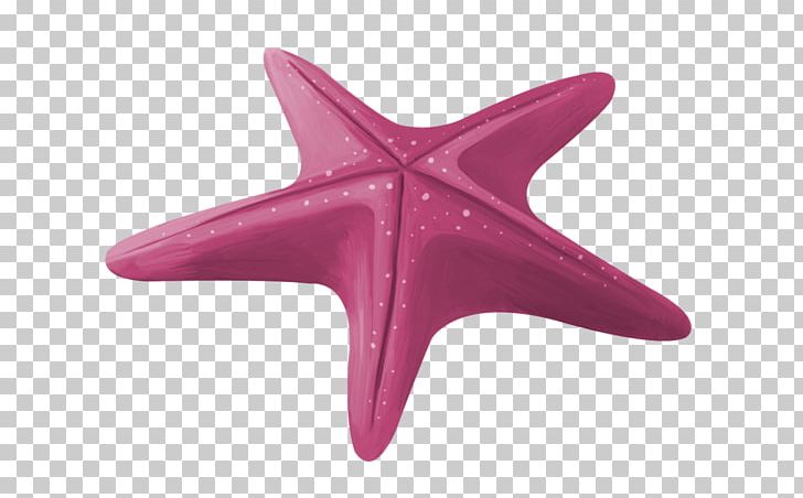Starfish Pisaster Ochraceus Euclidean PNG, Clipart, Animals, Download, Echinoderm, Encapsulated Postscript, Euclidean Vector Free PNG Download