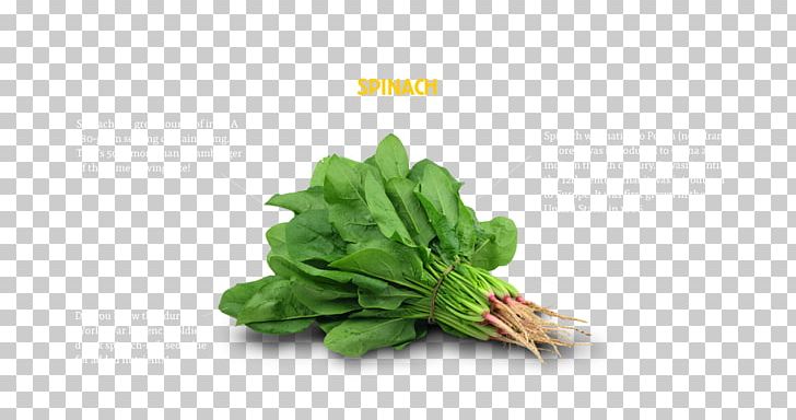 Vegetable Spinach Food Health Grocery Store PNG, Clipart, Broccoli, Cabbage, Carotene, Chard, Choy Sum Free PNG Download
