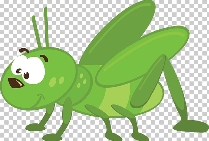 Insect Animation PNG, Clipart, Amphibian, Animal, Animals, Animation, Caelifera Free PNG Download