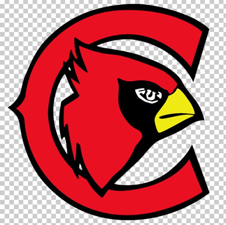 South Sioux City High School South Sioux City Community School PNG, Clipart, Area, Art, Artwork, Beak, Bird Free PNG Download