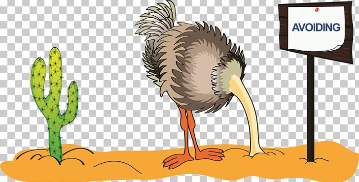 Common Ostrich Stock Photography PNG, Clipart, Beak, Bird, Can Stock Photo, Cartoon, Common Ostrich Free PNG Download