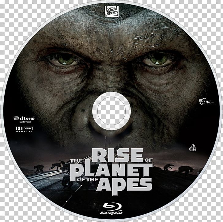 Film Poster Television PNG, Clipart, Bluray Disc, Dvd, Fan Art, Film, Film Poster Free PNG Download