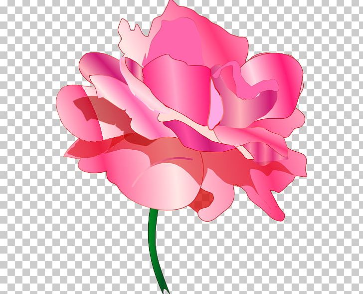 Garden Roses Cabbage Rose Cut Flowers PNG, Clipart, Computer Icons, Cut Flowers, Floral Design, Flower, Flowering Plant Free PNG Download