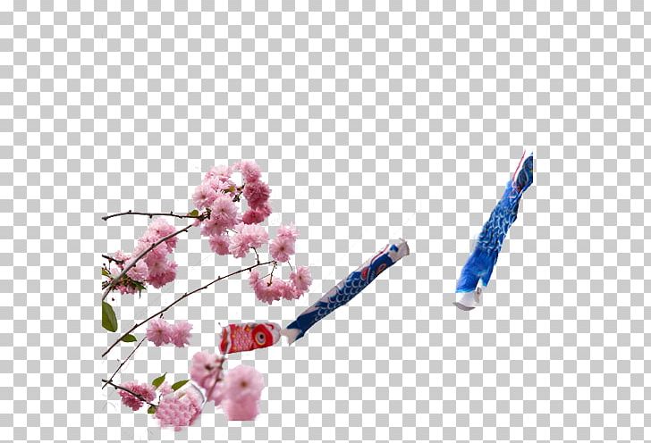 National Cherry Blossom Festival Common Carp PNG, Clipart, Australia Flag, Beautiful, Blossom, Blossoms, Botany Free PNG Download