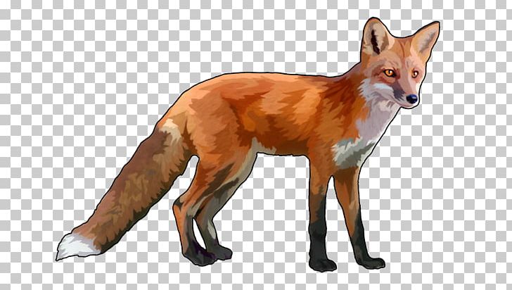 Red Fox Dhole Dog Canidae PNG, Clipart, Animal, Animals, Canidae, Carnivoran, Dhole Free PNG Download