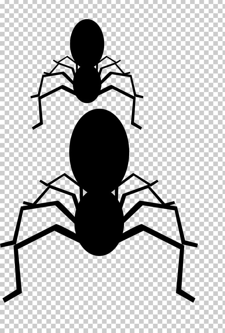 Spider Black And White PNG, Clipart, Black, Black And White, Black Background, Black Spider, Creative Free PNG Download