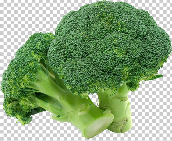 Broccoli Organic Food Vegetable PNG, Clipart, Brassica Oleracea, Broccoli, Broccolini, Brussels Sprout, Capitata Group Free PNG Download