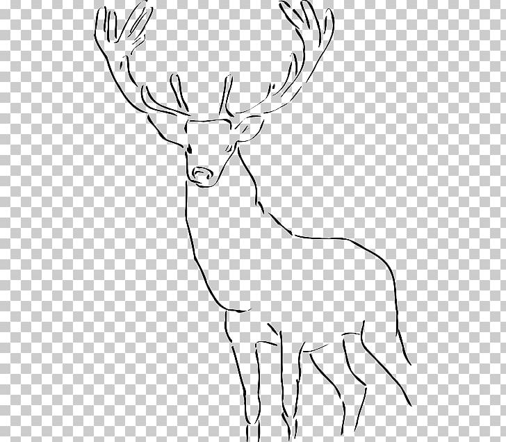 Deer Computer Icons PNG, Clipart, Antler, Black And White, Cattle Like Mammal, Computer Icons, Deer Free PNG Download