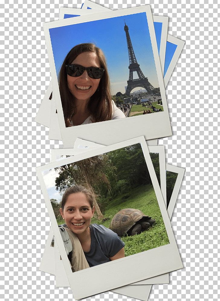 Glasses Travel Photographic Paper TripAdvisor PNG, Clipart, Customer, Eyewear, Glasses, Leisure, Objects Free PNG Download