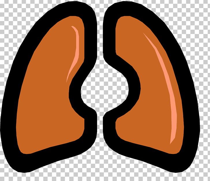 Lung Idiopathic Pulmonary Fibrosis Respiratory System Respiratory Disease Chronic Obstructive Pulmonary Disease PNG, Clipart, Cardiovascular Disease, Circulatory System, Disease, Dyspnea, Idiopathic Pulmonary Fibrosis Free PNG Download