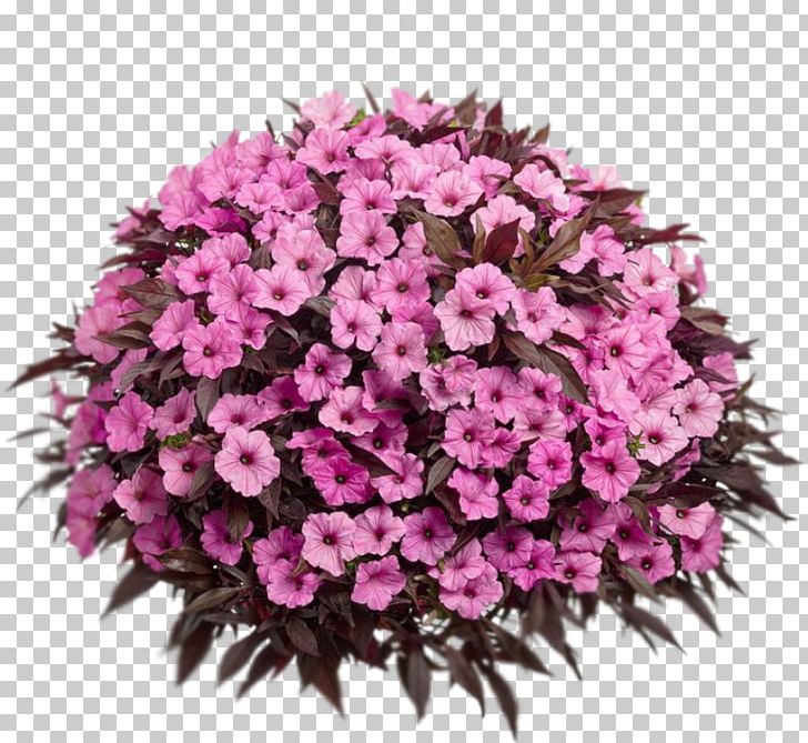 Container Garden Hanging Basket Flowerpot Garden Centre PNG, Clipart, Annual Plant, Basket, Cut Flowers, Floral Design, Flowe Free PNG Download