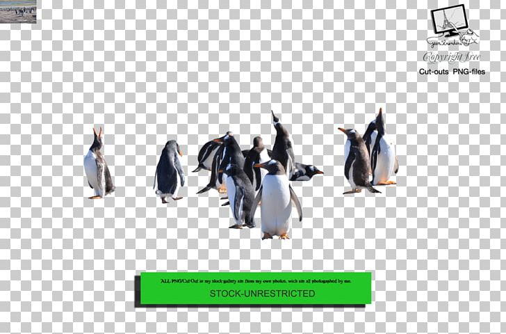 Penguin PNG, Clipart, Advertising, Animals, Art, Bird, Brand Free PNG Download