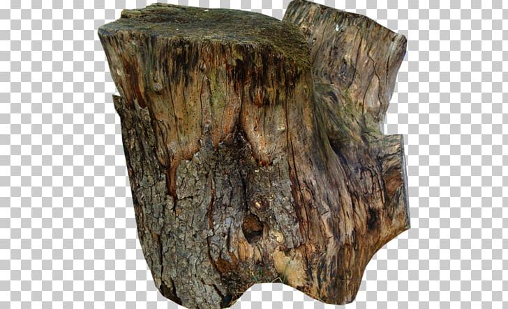 Tree Stump Wood Trunk Bark PNG, Clipart, Artifact, Bark, Furniture, Material, Nature Free PNG Download