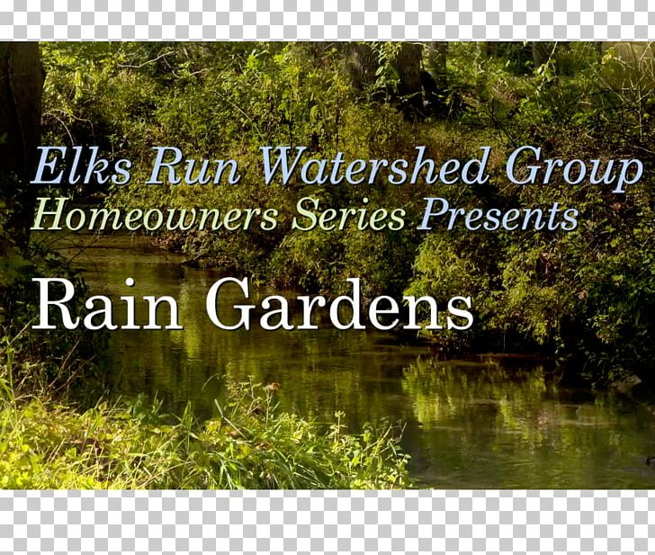 Water Resources Bayou Nature Reserve Swamp Biome PNG, Clipart, Bank, Bayou, Biome, Chesapeake Bay Series, Ecosystem Free PNG Download