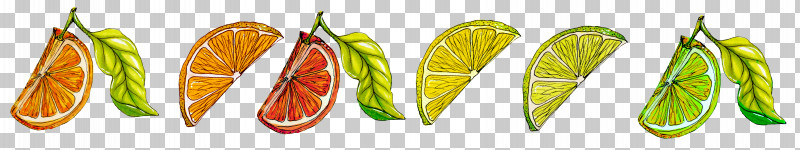 Yellow Leaf Plant Food PNG, Clipart, Food, Leaf, Plant, Yellow Free PNG Download