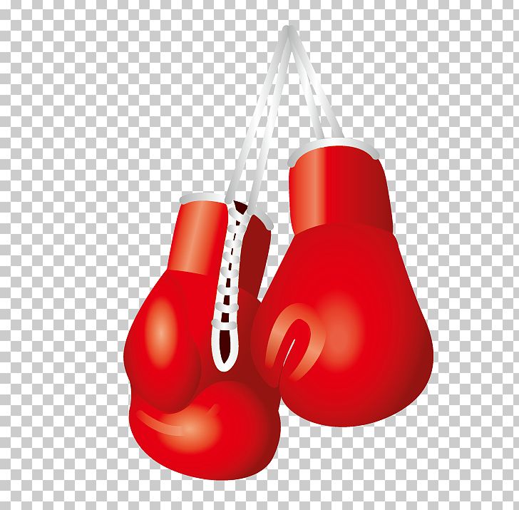Euclidean Boxing Photography PNG, Clipart, Box, Boxing, Boxing Equipment, Boxing Glove, Boxing Gloves Free PNG Download