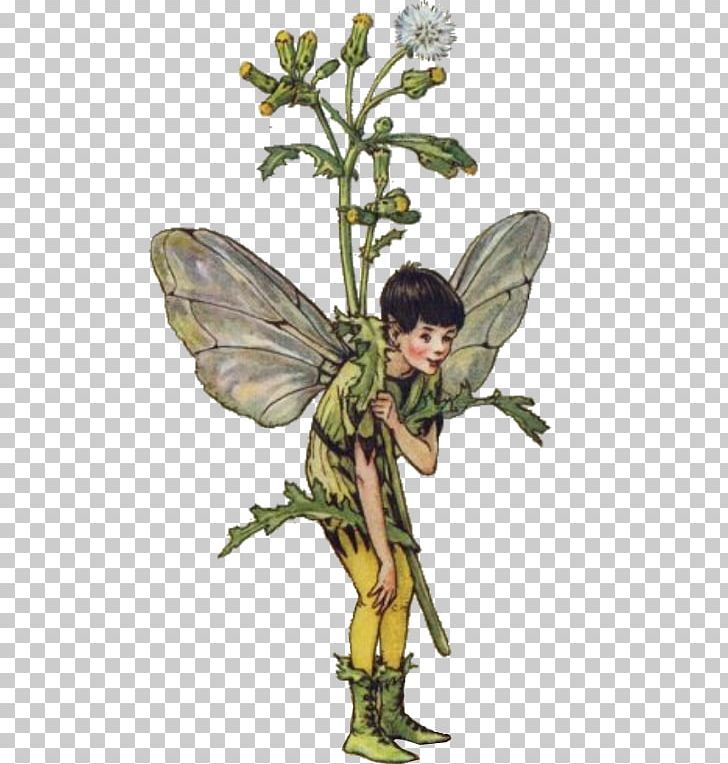 Fairy The Book Of The Flower Fairies Flower Fairies Of The Winter Flower Fairies Of The Trees: Poems And S PNG, Clipart, Art, Computer, Do Not, Dwarf, Each Free PNG Download