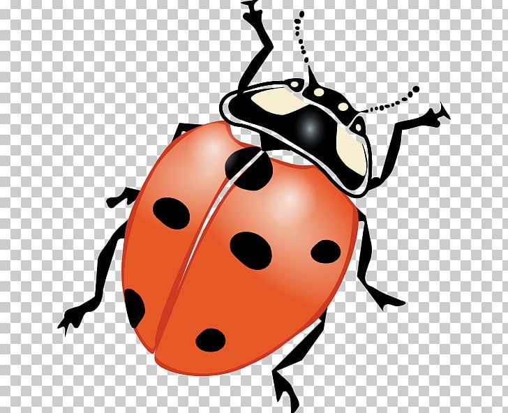 Ladybird Drawing PNG, Clipart, Beetle, Blog, Download, Drawing, Free Content Free PNG Download