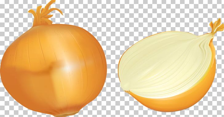 Onion Yellow Gratis PNG, Clipart, Data Compression, Delicious, Delicious Food, Designer, Download Free PNG Download