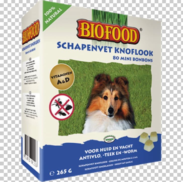 Puppy Dog Food Cat Dog Food PNG, Clipart, Alliin, Animals, Breeder, Cat, Dog Free PNG Download