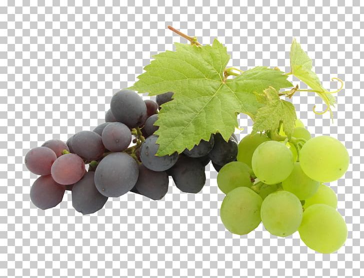 Grape Seed Oil Kyoho Grape Leaves Grape Seed Extract PNG, Clipart, Amazon Grape, Com, Food, Fruit, Fruit Nut Free PNG Download