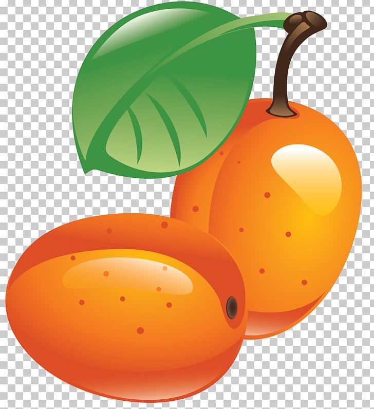 Seaberry Sea Buckthorn Oil PNG, Clipart, Apple, Auglis, Clip Art, Computer Icons, Cucurbita Free PNG Download