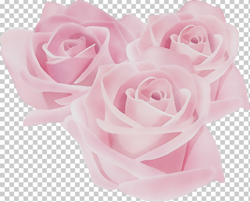 Garden Roses PNG, Clipart, Artificial Flower, Bouquet, Cut Flowers, Floribunda, Flower Free PNG Download