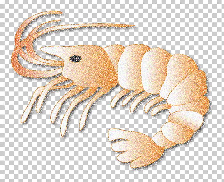 Crab Leftovers Logo Pizza Symbol PNG, Clipart, Animals, Crab, Crustacean, Decapoda, Food Free PNG Download