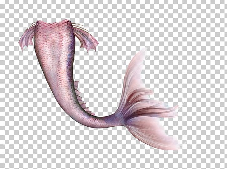 Mermaid Legendary Creature Fairy Tail PNG, Clipart, Fairy, Fairy Tail, Fantasy, Jaw, Legend Free PNG Download