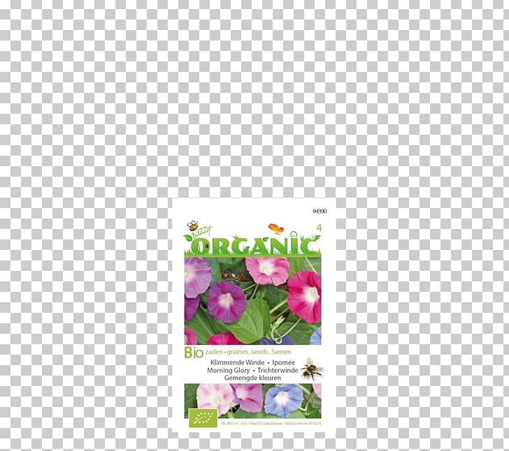 Morning Glory Common Morning-glory Seed Flower Sweet Pea PNG, Clipart, Calendula Officinalis, Common Sunflower, Cut Flowers, Flora, Floral Design Free PNG Download