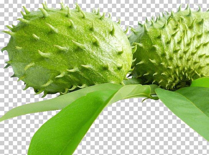 Juice Soursop Dried Fruit Sugar-apple PNG, Clipart, Annona, Cancer Cell, Custardapple, Dessert, Dried Fruit Free PNG Download