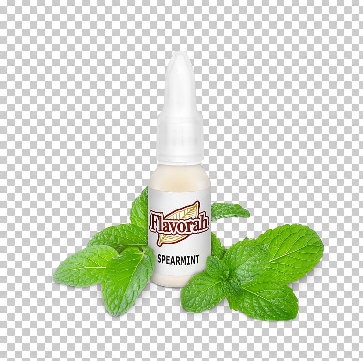 Spearmint Herb Peppermint Flavor Aroma PNG, Clipart, Aroma, Flash Video, Flavor, Flavor West Mfg Llc, Herb Free PNG Download