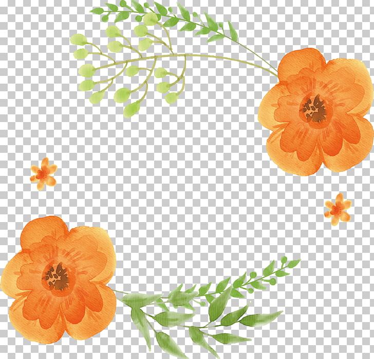 Watercolor: Flowers Orange Watercolor Painting PNG, Clipart, Box, Box Vector, Encapsulated Postscript, Floral Design, Flower Free PNG Download