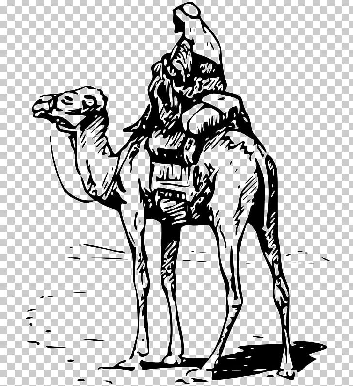 Camel PNG, Clipart, Animals, Arabian Camel, Art, Black And White, Camel Free PNG Download
