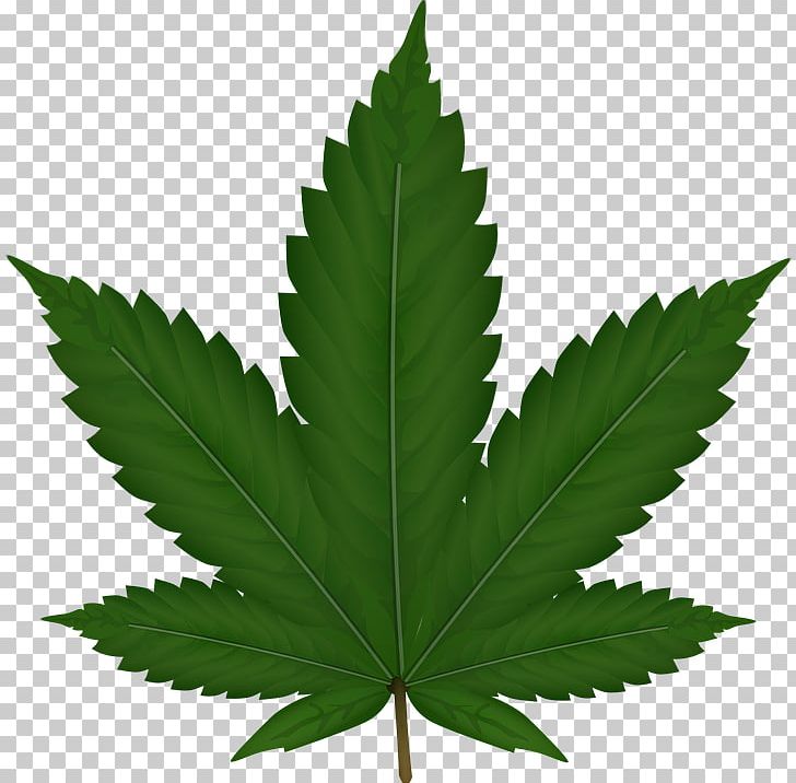Cannabis Sativa Leaf PNG, Clipart, 420 Day, Blunt, Cannabis, Cannabis Industry, Cannabis Png Free PNG Download