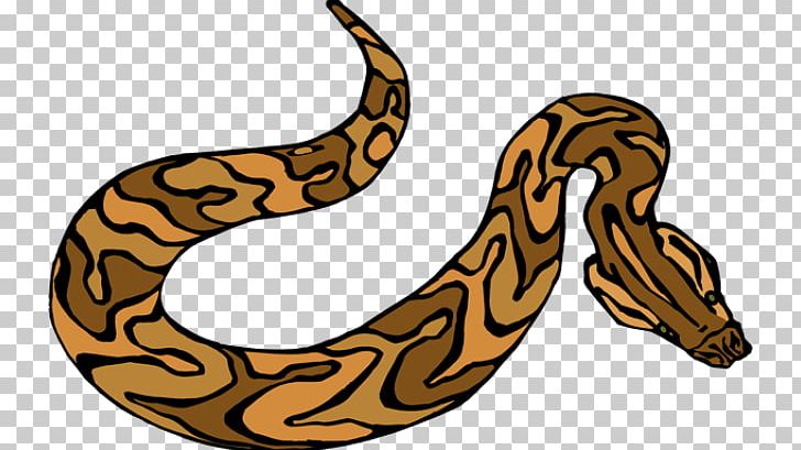 Corn Snake Green Anaconda PNG, Clipart, Animals, Boa, Boa Constrictor, Boas, Brown Free PNG Download