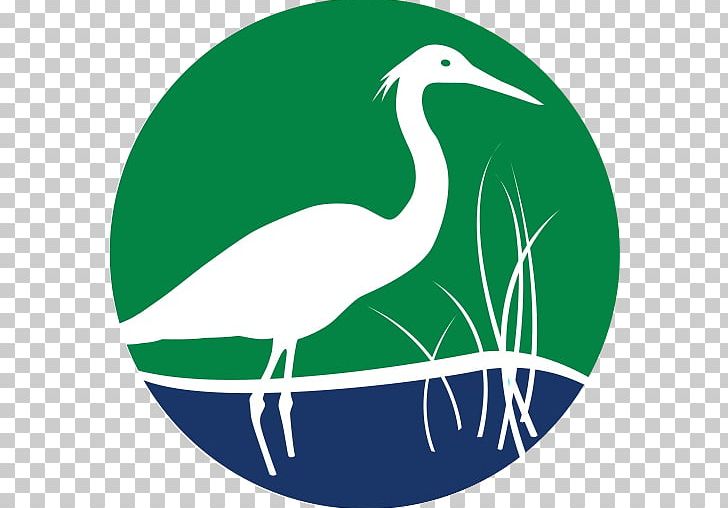 Floridas Water & Land Legacy Crane Matt Wing Court Galt Mile Bird PNG, Clipart, Beak, Bird, Ciconiiformes, Community Association, Crane Free PNG Download